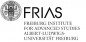 FRIAS Sustainable Governance Senior Fellowship Programme logo