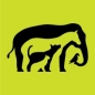 Morris Animal Foundation Veterinary Student Scholar Program logo