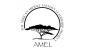 AMEL Institute Summer Program logo