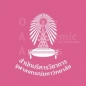 Chulalongkorn University’s Graduate Scholarship Program logo