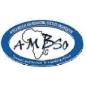 AMBSO Impact Research Initiative logo