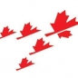 Governors General's Canadian Leadership Conference logo
