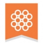 Wesly Foundation Prize for Young Innovators logo