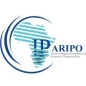 ARIPO Young Professionals Programme logo