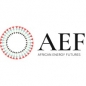 African Energy Futures Grant Program logo