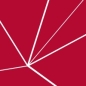 The Danish National Research Foundation Centers of Excellence Program for Ambitious Research logo