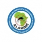 ALAMIME Cohort 5 Programmme logo