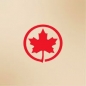 Air Canada Foundation Big Dreams Grant Program logo