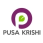 Pusa Krishi - Grant-in-Aid Incubation Program logo