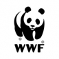 WWF Conservation Impact Grants logo