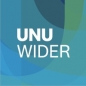 UNU WIDER Visiting PhD Fellowship Programme logo