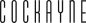 Cockayne Foundation Grants for the Arts logo