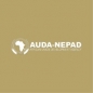 AUDA-NEPAD Home-Grown Solutions Agribusiness Accelerator Program logo