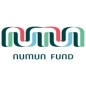 Numun Fund SGS Grant in Global South logo