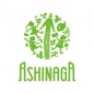 Ashinaga Foundation Spring Internship Program logo