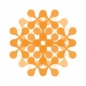 The University of Oxford Institute for Ethics in AI Accelerator Fellowship Programme logo