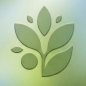 YSP Global Policy Brief Competition logo