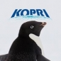 KOPRI Fellowship Program logo