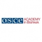 OSCE Academy Scholarship - Master of Liberal Arts and Sciences in Human Rights and Sustainability logo